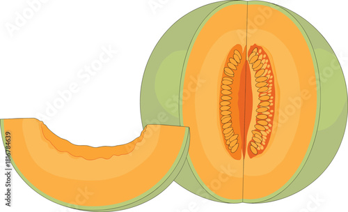 Freshly cut cantaloupe or muskmelon fruit with seeds and slice, symbolizing healthy organic food, summer refreshment, natural sweetness, and nutritious tropical diet.