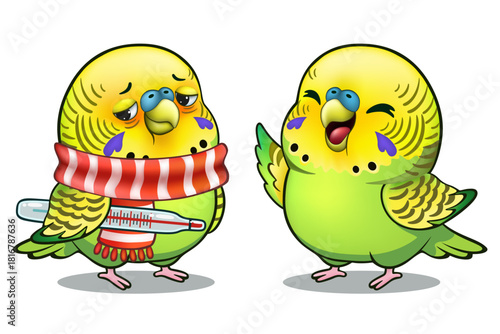 two cute budgie. one is healthy and cheerful, and the other sick with a thermometer on white background. vector cartoon illustration
