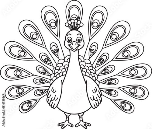 Bird peacock isolated coloring - Beautiful peacock coloring