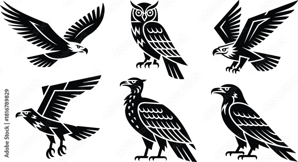 Obraz premium Stylized Black and White Vector Set of Raptors and Owls in Various Poses, Perfect for Sports Mascots, Logo Design, Heraldry, and Wild Animal Themes.