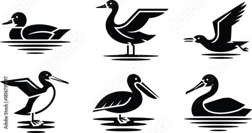 Collection of Waterfowl and Seabird Silhouettes Vector Icons Set, Including Duck, Pelican, and Swan in Black and White for Logo Design and Wildlife Concepts.