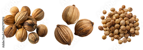 Set of spice, brown coriander seeds, isolated on a transparent background.