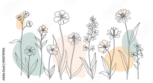 Elegant floral line art with soft pastel accents creates a whimsical botanical composition on a clean white backdrop.