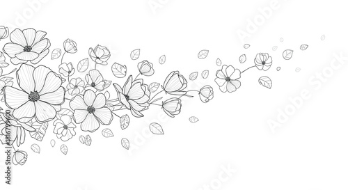 Elegant hand-drawn floral border featuring flowers, buds, and leaves flowing across the page, adding a delicate and organic touch to any design.