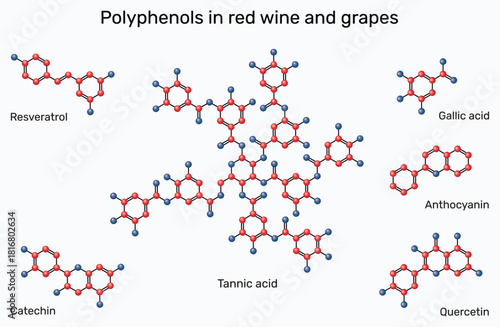Polyphenols in red wine and grapes. Molecules of resveratrol, catechin, gallic acid, tannic acid, quercetin, and anthocyanin. Vector illustration