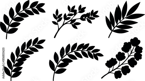 Black silhouette leaves vector set different plant leaf shapes isolated on white background