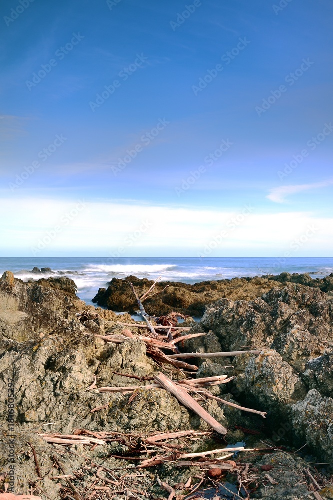 Fototapeta premium Storm debris on Owhiro bay after the storm