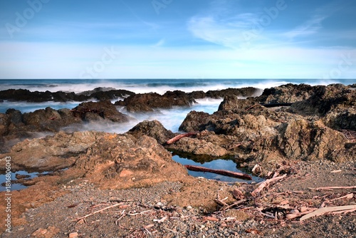 Storm debris on Owhiro bay after the storm