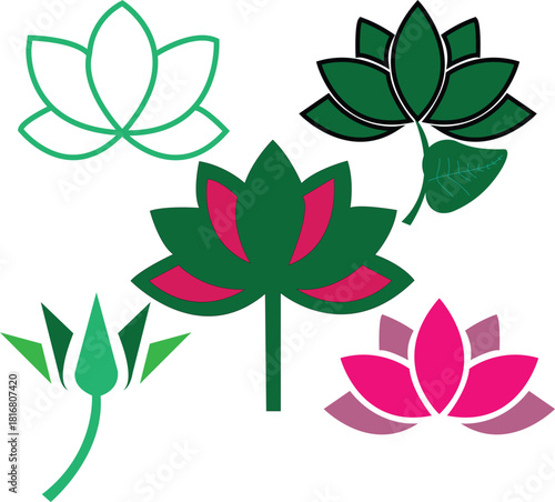 water Lily Vector
