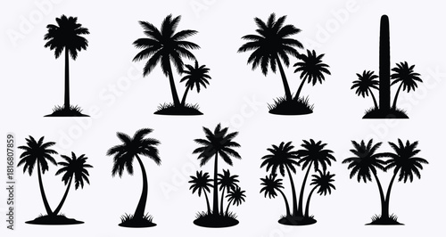 Palm Tree Silhouette Collection for Tropical Beach Designs