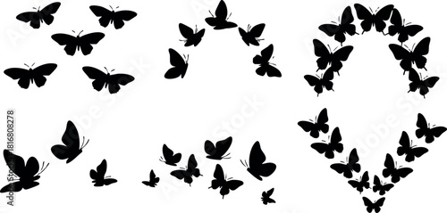 Butterfly silhouettes in various flying formations vector illustration black shapes on white background