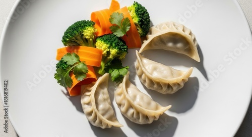 Delicious dumplings with vegetables on a white plate for culinary use