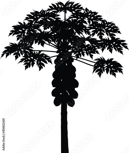 Silhouette of a tropical papaya tree with ripe fruits, showcasing its distinctive shape and foliage, isolated on