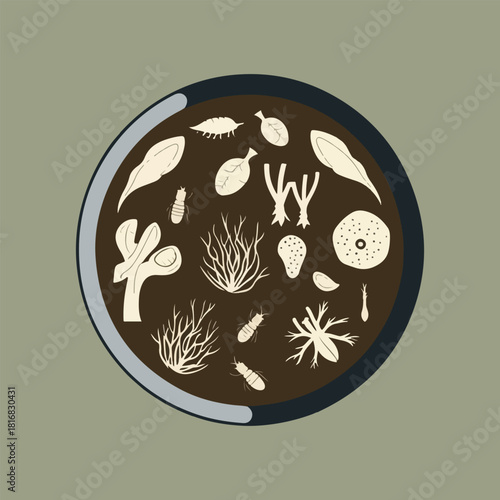 World Soil Day vector collection of urban soil layers, biodiversity, composting cycle, and regenerative farming infographics design set