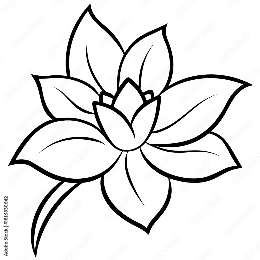 Obraz premium black and white lily