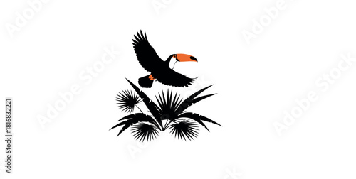 Black and white peacock and bird of prey vector illustration silhouette pattern with bird of paradise flower leaf design