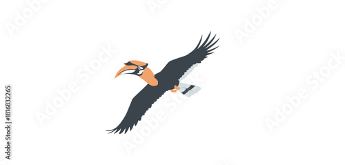 Exotic tropical toucan bird with large black beak and colorful feathers isolated on a white background