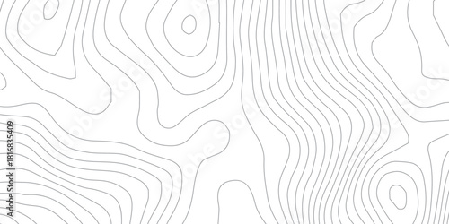 Abstract White wave paper curved reliefs abstract background, Abstract topographic contours map background, Topography map on transparent background. Vector geographic contour map. 