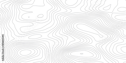 Abstract White wave paper curved reliefs abstract background, Abstract topographic contours map background, Topography map on transparent background. Vector geographic contour map. 