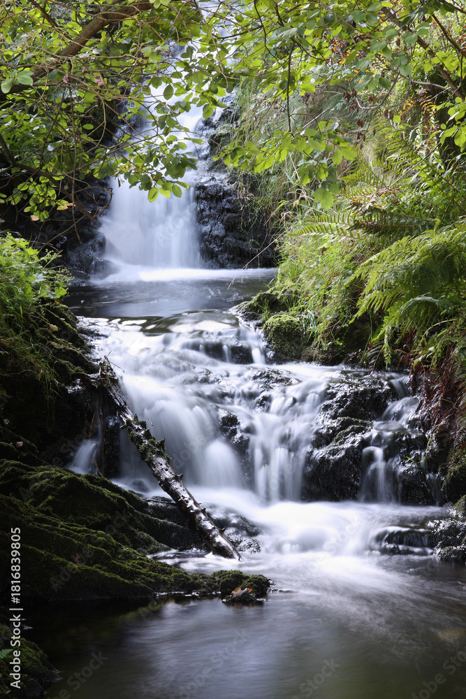 Obraz premium Wildbach im Harz Hochformat