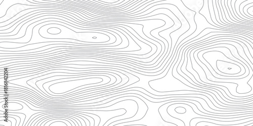 Abstract topographic map lines background. Vector seamless background, subtle pattern. topographic map background concept. Smooth Curved Topography Lines. Abstract Elevation Contour Background Vector.