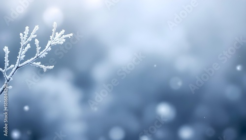A peaceful cold landscape presenting a sparkling ice coated branch before a pale winter sky creating a soft elegant minimalist background
