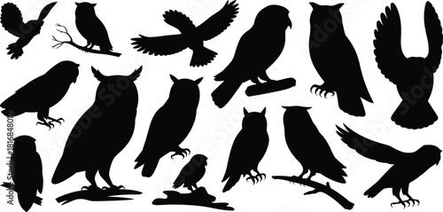 Collection of owl silhouettes in various poses, featuring flying, perched, and resting owls ideal for wildlife designs, nature illustrations, templates, and creative projects.