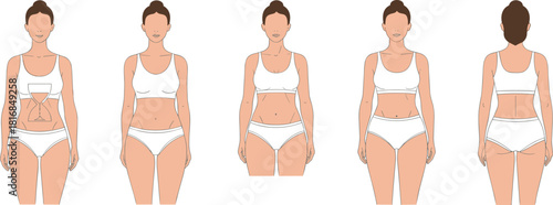 Female body shape comparison illustration showing different figure types in flat vector style, useful for anatomy reference, fashion design, body proportions, and character creation projects.