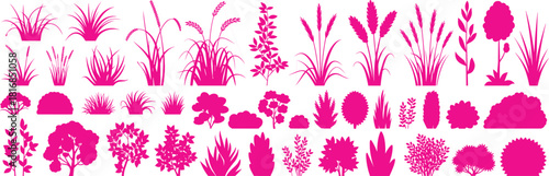 Magenta pink vector silhouette collection of various grass shrubs bushes and plants isolated on white background for landscape architecture garden design elements