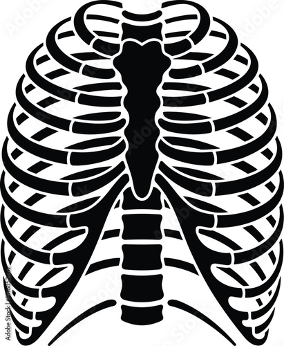 Vector black silhouette illustration of human rib cage skeleton showing sternum and spine for medical anatomy education or halloween scary costume t-shirt graphic design.