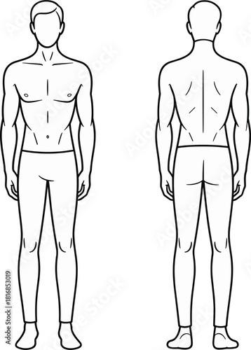 Vector illustration of male body anatomy showing front and back views standing pose for fashion design templates and medical charts isolated on white background.