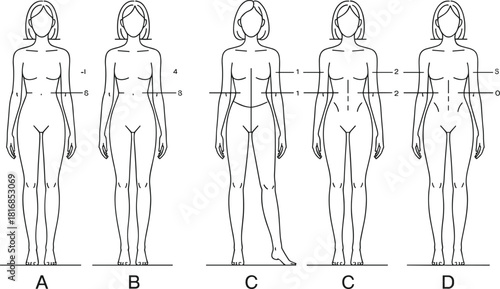 Vector illustration set of female body anatomy outlines with measurement lines and labels for medical charts plastic surgery and fashion design templates isolated on white.