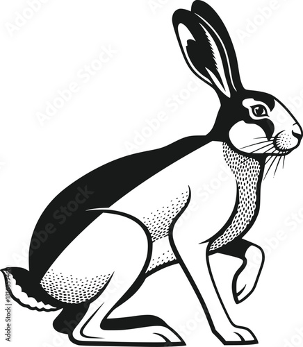 Black And White Vector Illustration Of A Wild Hare Sitting In Profile View Isolated On A Clean White Background Featuring Detailed Graphic Linework And Vintage Engraving Style Shading Perfec