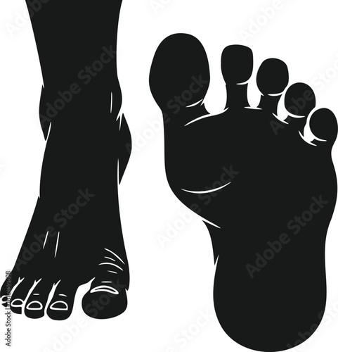 Detailed Anatomical Vector Silhouette Illustration of Human Feet Showing Sole View and Profile Side View Isolated on a Clean White Background for Medical or Podiatry Design Concepts