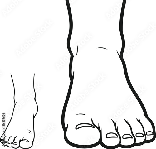 Detailed Anatomical Vector Outline Illustration Of Human Feet Showing Frontal And Profile Views Isolated On A White Background Perfect For Medical Diagrams Podiatry Guides And Health Educati