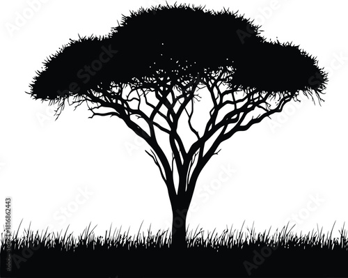 Silhouette of an acacia tree with a wide, flat canopy and sparse branches, standing on a grassy plain, isolated on