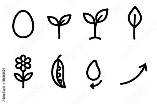 Life Cycle Icons. Life Cycle Symbols linear icon set: egg shape, sprout, young plant, budding leaf, blooming flower, seed pod, returning seed, growth arc
