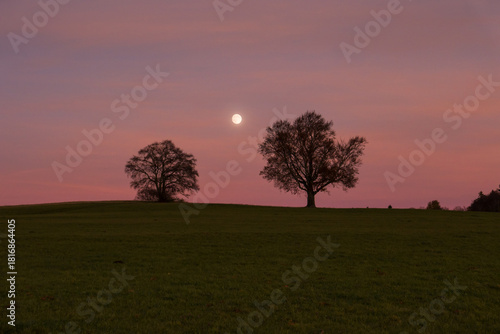 Abendstimmung auf Degerfeld bei Albstadt, Zollernalbkreis