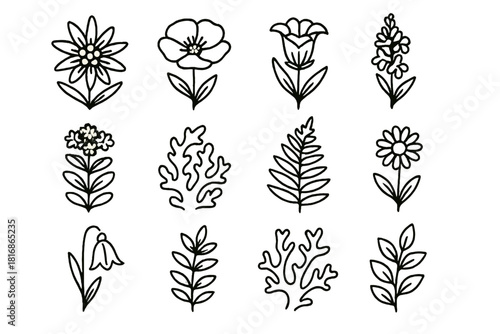 Mountain Wildflower Icons. Mountain Wildflowers linear icon set. edelweiss, alpine poppy, gentian, wild orchid, stonecrop, thyme sprig, moss, lichen, mountain fern, small daisy