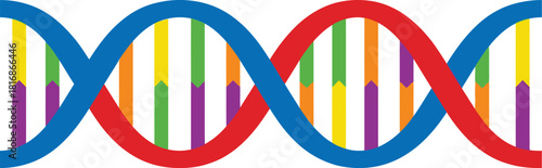 Colorful double helix dna strand illustration with vibrant bands and a clean design on transparent background