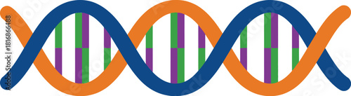 Colorful illustration of a dna double helix structure with vibrant bands on transparent background