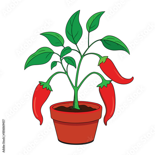 Small red hot chili pepper plant vector design.