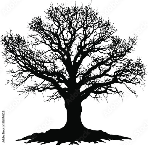 Wallpaper Mural Silhouette of an old, bare tree with intricate branches and roots, symbolizing nature, growth, and life, isolated on Torontodigital.ca