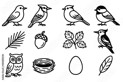 Woodland Bird Icons. Woodland Birds linear icon set. robin, blue jay, sparrow, chickadee, woodpecker, owl, pine branch, acorn, leaf cluster, nest, egg, feather