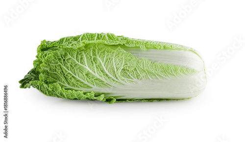 Fresh Chinese cabbage isolated on white background. Raw green napa vegetable for Asian cooking and kimchi recipe. Organic healthy plant texture for vegetarian market design concept.