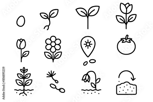 Life Cycle Icons. Life Cycle Set linear icon set: seed icon, sprouting shoot, young leaf, growing stem, budding flower, blooming stage, pollination marker, fruit form, mature plant