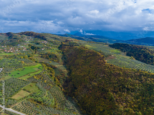 Albania village panoramic drone view olive plantation