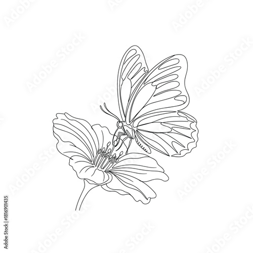 Delicate line drawing of a butterfly resting on a blooming flower