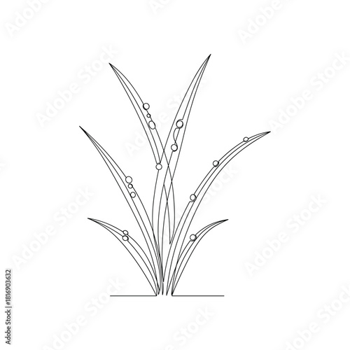 Detailed line drawing of a clump of grass with dew drops on its blades