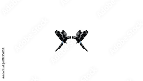Vector silhouette of a flying bird of paradise with black wings and feathers